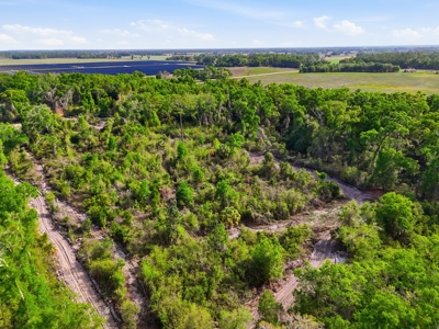 Land with Utilities in North Florida Levy County Chieflland! - image 23