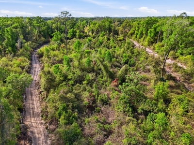 Land with Utilities in North Florida Levy County Chieflland! - image 26