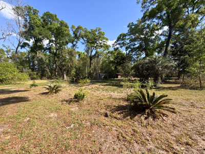 Land with Utilities in North Florida Levy County Chieflland! - image 6