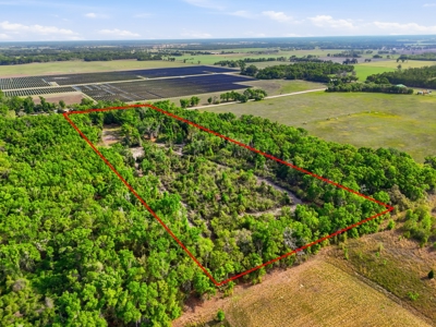 Land with Utilities in North Florida Levy County Chieflland! - image 28