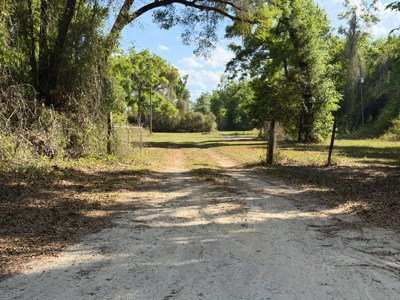 Land with Utilities in North Florida Levy County Chieflland! - image 17