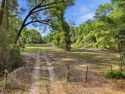Land with Utilities in North Florida Levy County Chieflland! - image 16