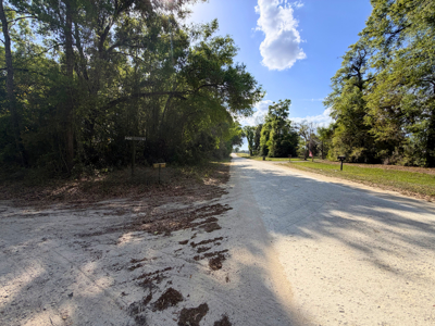 Land with Utilities in North Florida Levy County Chieflland! - image 18
