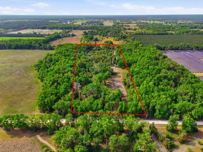 Land with Utilities in North Florida Levy County Chieflland! - image 4