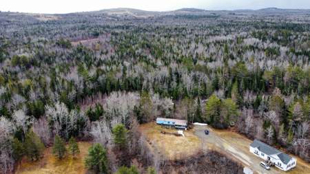 Affordable Country Living on 4.17 Acres - Lincoln, Maine - image 7