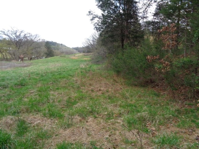 2.9 Acres w/ Abandon Schoolhouse in Hancock County - image 35