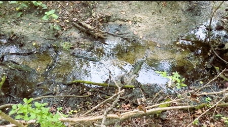 New Construction Motivated Seller - image 28