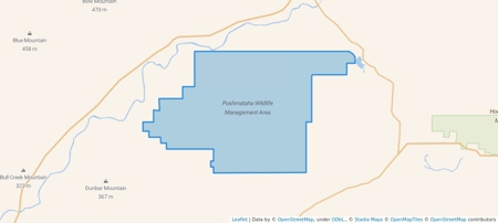 50 acres +/- For Sale Near Kiamichi River! - image 7