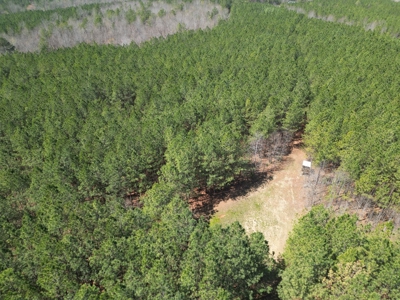 23 Acres with Pines, Creek & Road Frontage VA Land - image 3