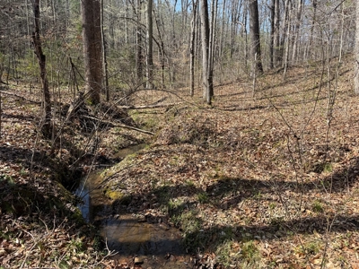 23 Acres with Pines, Creek & Road Frontage VA Land - image 12