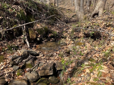 23 Acres with Pines, Creek & Road Frontage VA Land - image 11