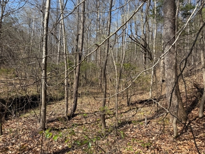 23 Acres with Pines, Creek & Road Frontage VA Land - image 10
