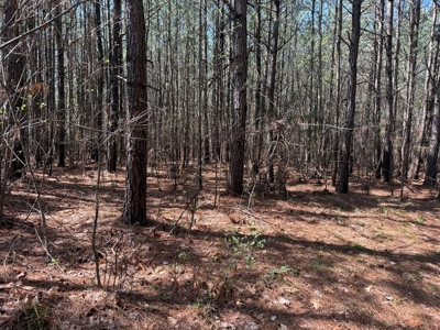 23 Acres with Pines, Creek & Road Frontage VA Land - image 18