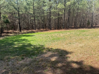 23 Acres with Pines, Creek & Road Frontage VA Land - image 20