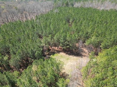 23 Acres with Pines, Creek & Road Frontage VA Land - image 4