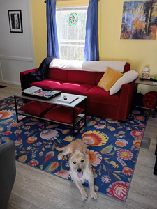 Charming Country Home in Liberty - image 5