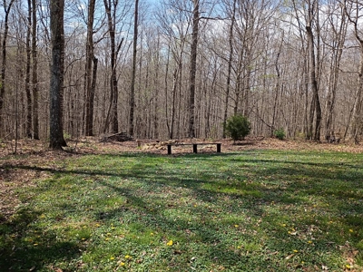 Charming Country Home in Liberty - image 17