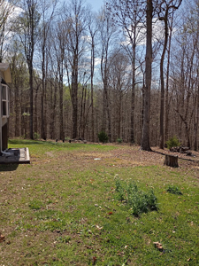 Charming Country Home in Liberty - image 19