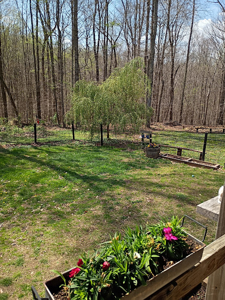 Charming Country Home in Liberty - image 10