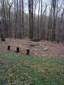 Charming Country Home in Liberty - image 20