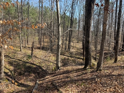 9 Acres with Road Frontage & Pines in Buckingham VA - image 14