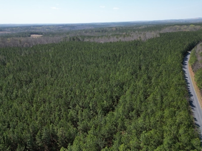 9 Acres with Road Frontage & Pines in Buckingham VA - image 5