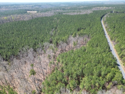 9 Acres with Road Frontage & Pines in Buckingham VA - image 3