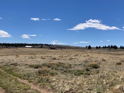 40-Acre Scenic Retreat: No HOA, Huge Views near Dallas Divide - image 3