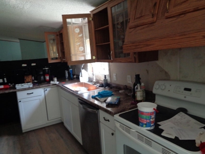 Doublewide on .19 acre lot in Morristown, Tennessee - image 7