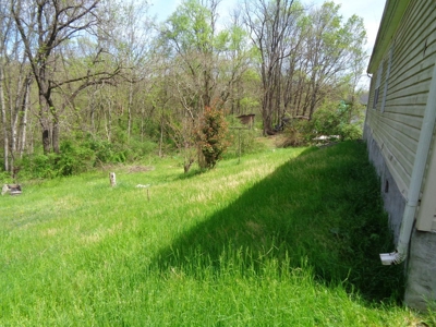 Doublewide on .19 acre lot in Morristown, Tennessee - image 5