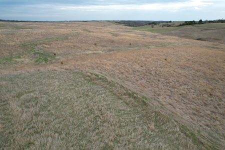 Southwest Iowa Income Producing Combination Farm - image 16