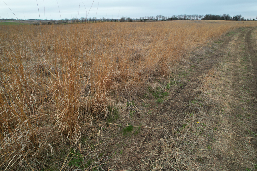 No Caption