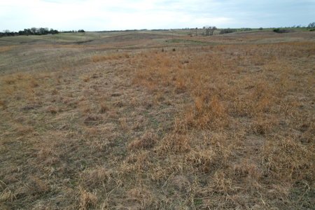 Southwest Iowa Income Producing Combination Farm - image 9