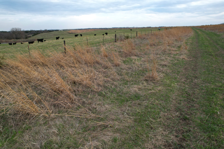 Southwest Iowa Income Producing Combination Farm - image 33
