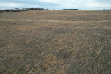 Southwest Iowa Income Producing Combination Farm - image 21