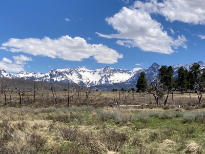 No Covenants 40 Acre Property Near Telluride & Ridgway - image 5