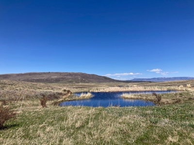 No Covenants 40 Acre Property Near Telluride & Ridgway - image 9