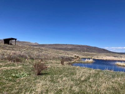 No Covenants 40 Acre Property Near Telluride & Ridgway - image 8