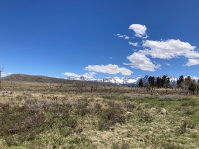No Covenants 40 Acre Property Near Telluride & Ridgway - image 4