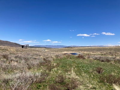 No Covenants 40 Acre Property Near Telluride & Ridgway - image 3