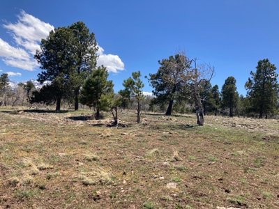 No Covenants 40 Acre Property Near Telluride & Ridgway - image 7