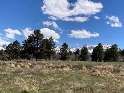 No Covenants 40 Acre Property Near Telluride & Ridgway - image 10