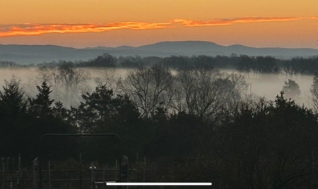 Rustic Country Home in Secluded Missouri Ozarks in Theodosia, MO - image 37