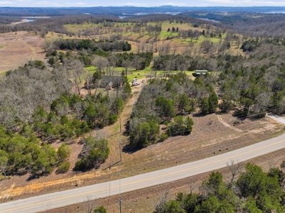 Rustic Country Home in Secluded Missouri Ozarks in Theodosia, MO - image 31