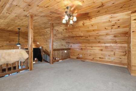 Rustic Country Home in Secluded Missouri Ozarks in Theodosia, MO - image 24