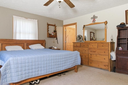 Rustic Country Home in Secluded Missouri Ozarks in Theodosia, MO - image 13