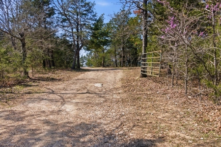 Rustic Country Home in Secluded Missouri Ozarks in Theodosia, MO - image 7
