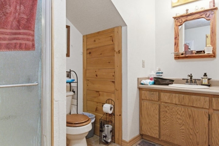 Rustic Country Home in Secluded Missouri Ozarks in Theodosia, MO - image 21