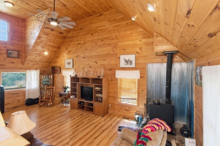 Rustic Country Home in Secluded Missouri Ozarks in Theodosia, MO - image 8