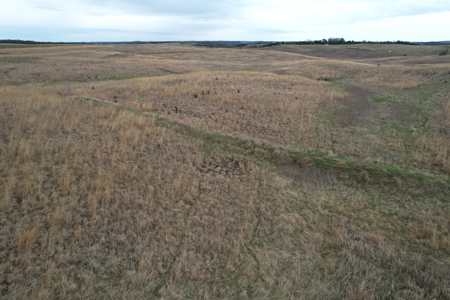 Southwest Iowa Recreational CRP Farm - image 37